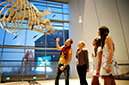 %_tempFileNamestralsund-ozeaneum6%